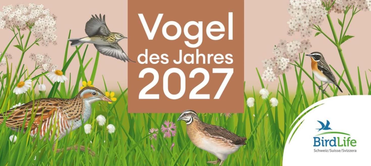 vogeldesjahres